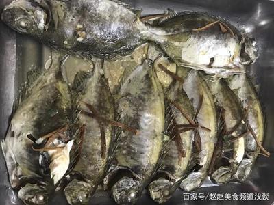 莆田小鱼网招聘煮饭阿姨,莆田小鱼网招聘煮饭阿姨信息