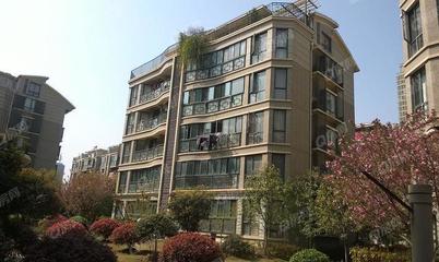 合肥水墨兰庭二手房价,合肥水墨兰庭二手房价走势