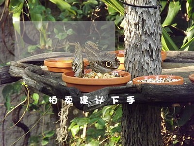 盐城二手房个人,盐城二手房个人所得税谁出