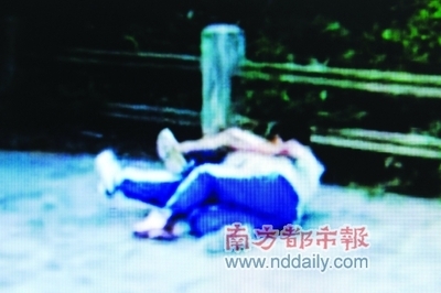 中山论坛oncity,中山论坛可以参观吗