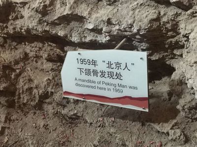 周口店人遗址位于北京哪个区,周口店北京人遗址相关资料