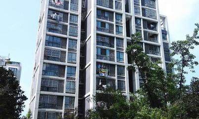 世纪阳光花园属于哪个居委会,阳光世纪花园属于哪个社区