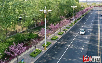廊坊大学城桐柏一条街,廊坊桐柏一条街怎么走