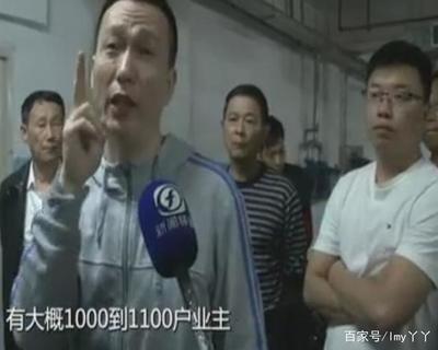 金辉天鹅湾小区怎么样,金辉天鹅湾是属于哪个社区
