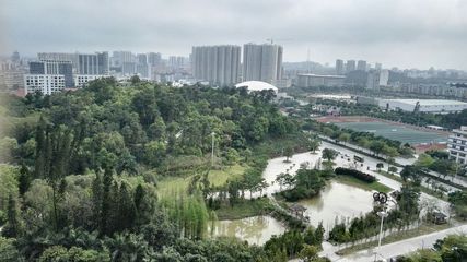 阳江保利中央公园好不好,阳江保利中央公园三期143幢样板房