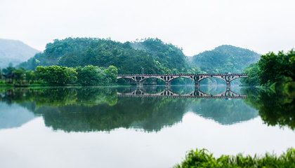 丽水旅游景点,丽水旅游景点排名前十