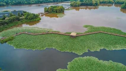 邛海湿地公园,邛海湿地公园一圈多少公里