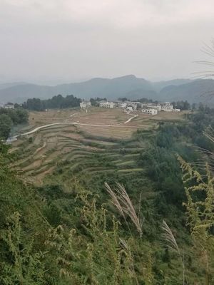 花溪区有几个乡镇,花溪区几个乡镇街道