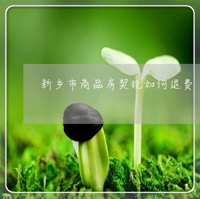 新乡房产契税减免税最新政策2020,新乡房产契税减免税最新政策2023