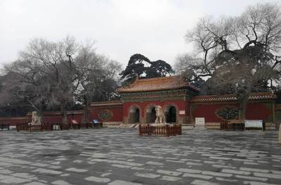 沈阳东陵公园灵异事件,沈阳东陵公园灵异事件视频