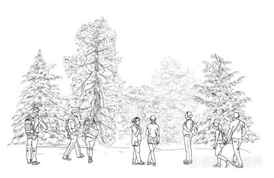 橡树图片简笔画,橡树简笔画 儿童画