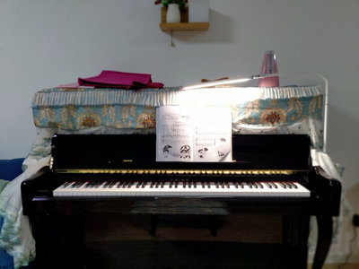 星海钢琴价格一般多少钱,星海钢琴xu123jw价格