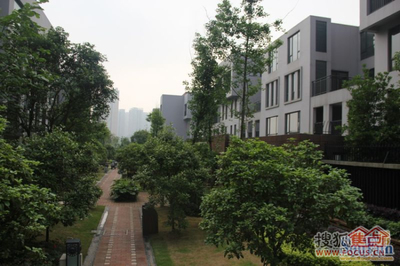 长沙万科城配套小学,长沙万科城市花园学区