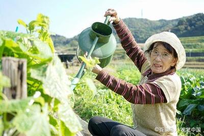 龙口人民政府网,龙口人民政府网上民声