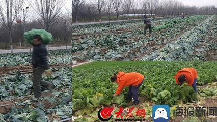 东明石化电子采购平台,东明石化采购电子平台报价