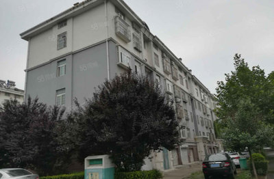 青州市房地产信息网,青州市房地产信息网最新消息