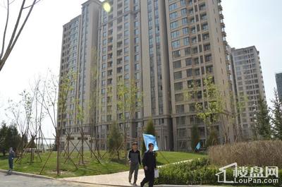 包头楼盘网中朵,2021包头新开楼盘