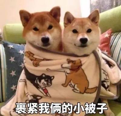 洪梅租房价格,洪梅0_500元租房