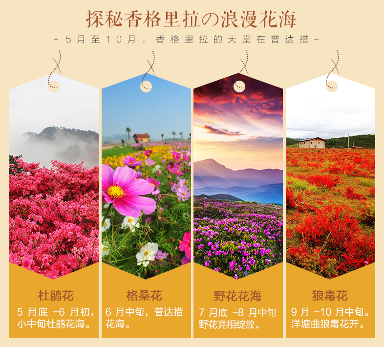 香格里拉哪些景点必去,香格里拉必游十大景点推荐
