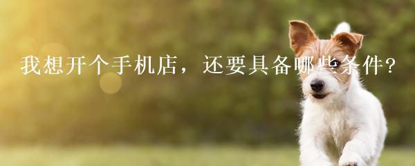 租房子办个体户公司,租房子办个体户公司有补贴吗