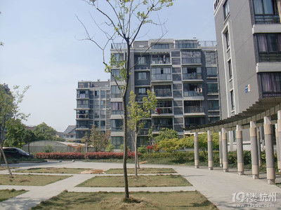 怎么下载新杭州家园,新杭州家园公众号
