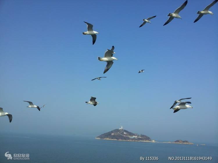去青岛旅游必去的景点,去青岛有哪些好玩的旅游景点