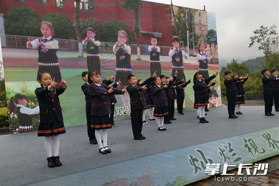 麓山国际小学是公立的吗,麓山国际小学配套楼盘