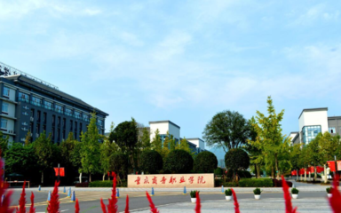 重庆大学城有哪些职业学校,重庆大学城有哪些职业学校招生