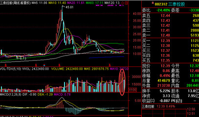 三泰控股002312,三泰控股股票