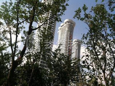 包含苏宁滨江壹号三炷香的词条