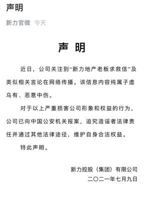 新力集团老板,新力有限公司董事长