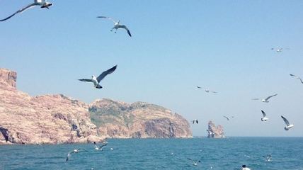 烟台旅游介绍,烟台的旅游景点介绍