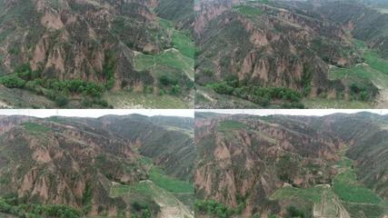 黄土坡属于哪个区,黄土坡片区