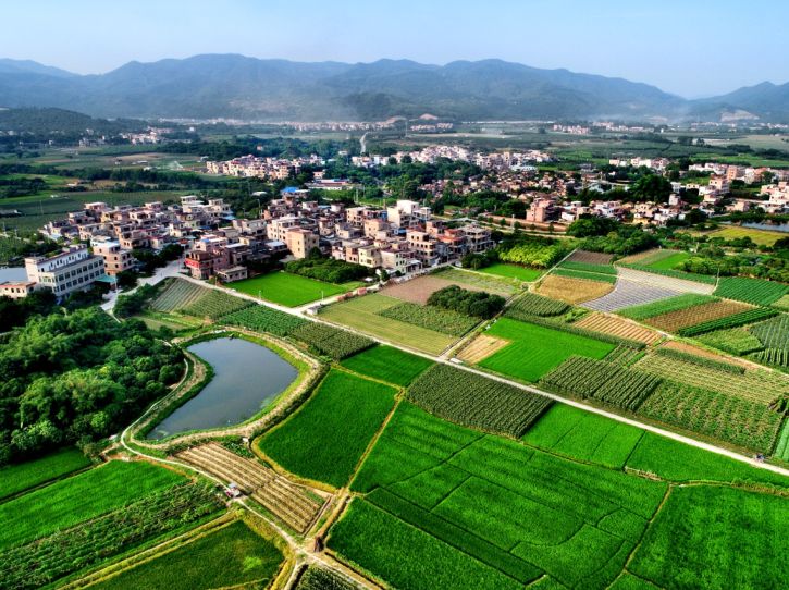 增城最值得去美丽乡村,增城乡村旅游景点