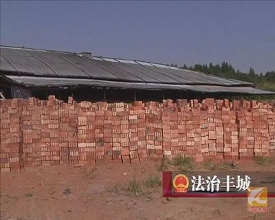 丰城市人力资源和社会保障局官网,丰城人力资源社会劳动保障局