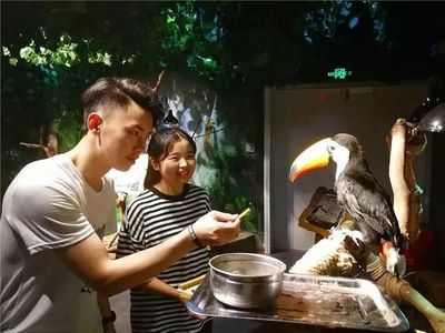 合肥室内好玩的地方,合肥室内好玩的地方