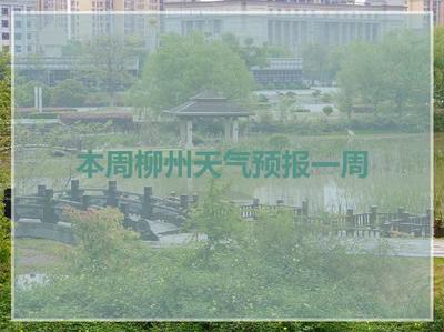 柳州天气预报15天查询结果,柳州天气15天查询2345