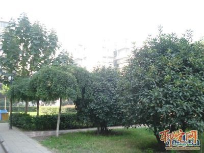 郑州二手房价格北晨公寓,郑州北晨颐商苑二手房
