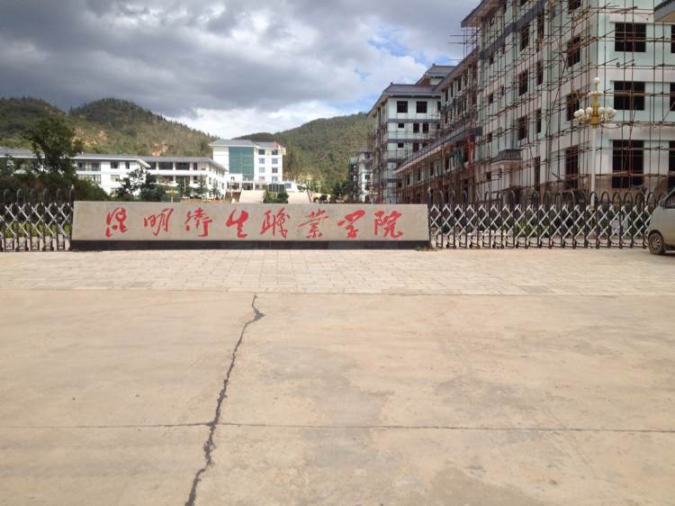 云南昆明卫生职业学院官网,云南昆明卫生职业学院官网高职单招
