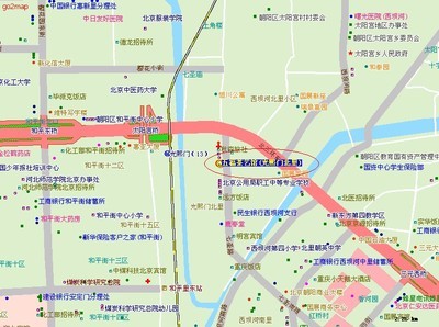 北京太阳宫社区医院,北京太阳宫社区医院许彤