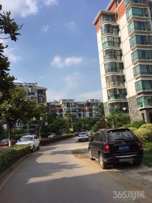 江宁区明月港湾,南京市明月港湾地址