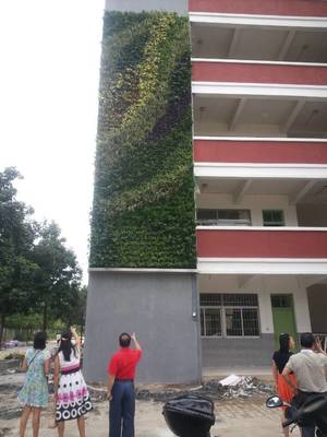金碧世纪花园对口中学,金碧世纪小学