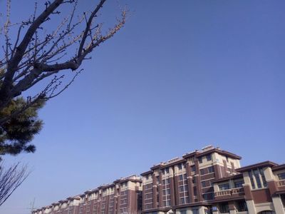 威海石岛凤凰湖负面消息,山东省威海市石岛凤凰湖属于哪个区