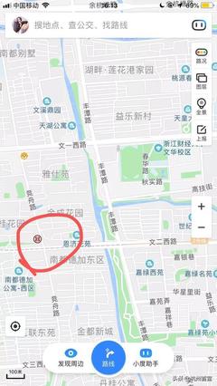湖畔莲花港家园是浙江哪里,湖畔莲花港家园是浙江哪里的房子