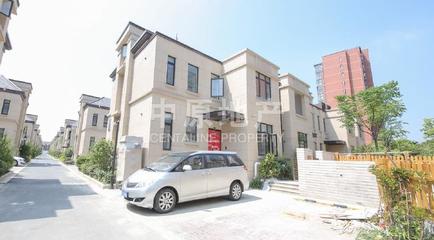 新泓国际城哪个街道,新弘国际城开发商