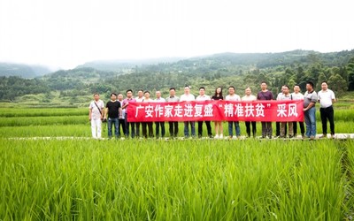 广安市人民政府网,广安市人民政府网官网首页