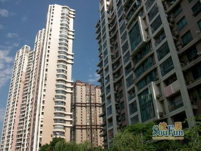 上海青年城属于哪个社区,上海青年城乱不乱