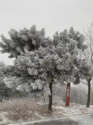 河南郑州新密天气,河南郑州新密天气预报7天