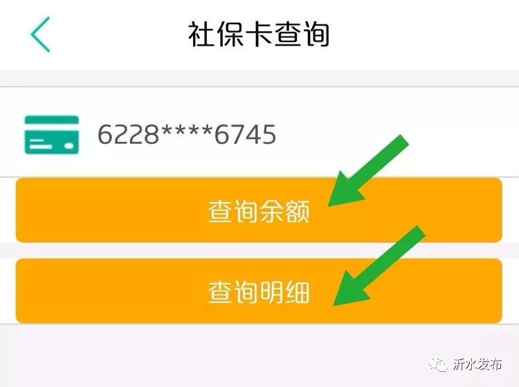 临沂社保官网查询登录入口,临沂市社保网上服务平台