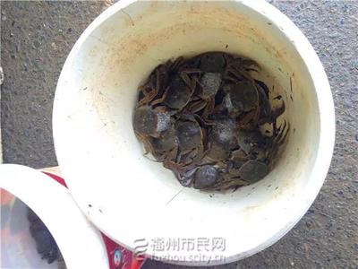 龙祥岛湿地公园,龙祥岛湿地公园有什么景点